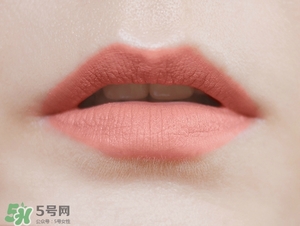 植村秀豆沙色口紅色號(hào)是幾號(hào)色？植村秀豆沙色口紅試色