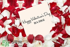 收到藍(lán)色妖姬是什么意思？情人節(jié)送藍(lán)色妖姬什么意思？