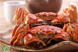 春天的螃蟹能吃嗎？開春后大閘蟹能吃嗎？