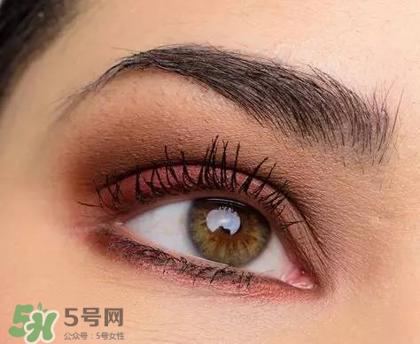 tom ford和香奈兒哪個好？tom ford和香奈兒對比