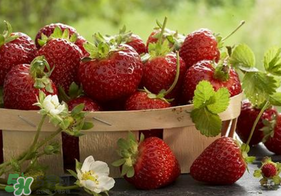 新鮮草莓怎么保鮮？新鮮草莓如何存放更久？