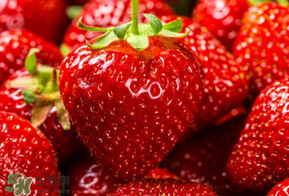 新鮮草莓怎么保鮮？新鮮草莓如何存放更久？