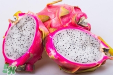 3月份有火龍果吃嗎？三月份可以吃火龍果嗎？