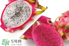 3月份有火龍果吃嗎？三月份可以吃火龍果嗎？