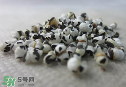 穿山甲下奶怎么吃？穿山甲下奶效果好嗎？