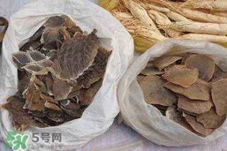 穿山甲下奶怎么吃？穿山甲下奶效果好嗎？