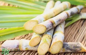 甘蔗要洗嗎？吃甘蔗時要用鹽水洗嗎？