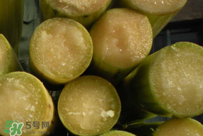 甘蔗要洗嗎？吃甘蔗時要用鹽水洗嗎？