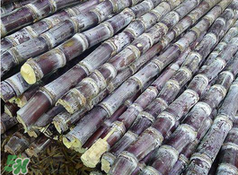 甘蔗發(fā)紅切掉可以吃嗎？甘蔗發(fā)紅切掉能吃嗎？