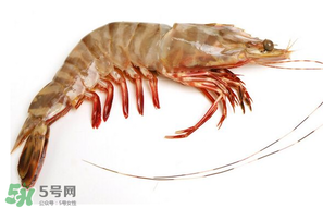 基圍蝦多少錢一斤？基圍蝦多少錢一斤2017？