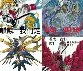 皮皮蝦為何突然火了？皮皮蝦怎么火的？