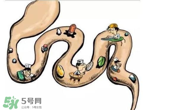 便秘吃什么藥好？便秘吃什么藥最快排便？