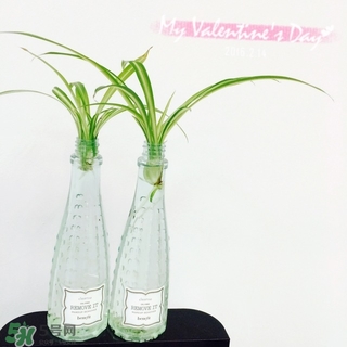 貝玲妃卸妝水怎么樣?貝玲妃卸妝水好用嗎? 貝玲妃卸妝水怎么樣?貝玲妃卸妝水好用嗎?