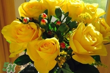 4月份適合種什么花？四月份種什么花好？