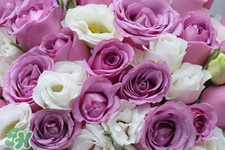 4月份適合種什么花？四月份種什么花好？