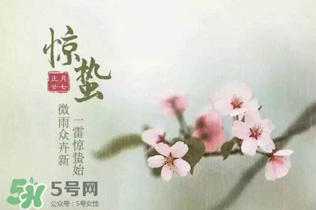 驚蟄喝什么茶好？驚蟄養(yǎng)生喝什么茶？
