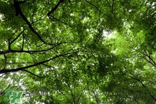 3月份能暖和嗎？一般幾月份開始天氣變暖？