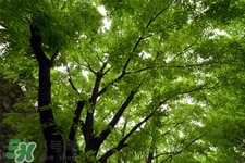 3月份能暖和嗎？一般幾月份開始天氣變暖？