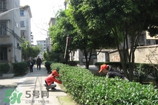 3月份能暖和嗎？一般幾月份開始天氣變暖？