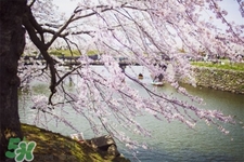 3月份能暖和嗎？一般幾月份開始天氣變暖？