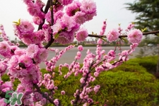 3月份能暖和嗎？一般幾月份開始天氣變暖？