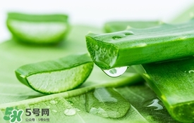 敏感肌膚可以用蘆薈膠嗎 蘆薈膠敏感肌膚能用嗎 敏感肌膚可以用蘆薈膠嗎 蘆薈膠敏感肌膚能用嗎