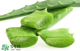 敏感肌膚可以用蘆薈膠嗎 蘆薈膠敏感肌膚能用嗎 敏感肌膚可以用蘆薈膠嗎 蘆薈膠敏感肌膚能用嗎