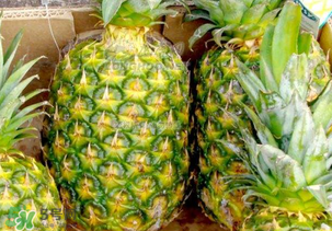 綠菠蘿可以吃嗎？菠蘿是綠的能吃嗎？