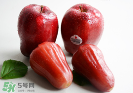 蛇果是脆的還是面的？蛇果是粉的還是脆的？