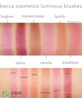 becca腮紅色號試色 becca腮紅試色圖 becca腮紅色號試色 becca腮紅試色圖
