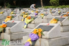 清明節(jié)燒紙錢有用嗎？清明節(jié)為什么要燒紙？