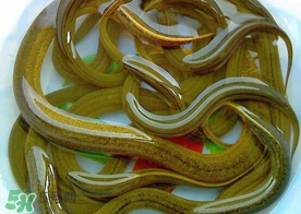 三月份可以釣黃鱔嗎？幾月可以釣黃鱔？