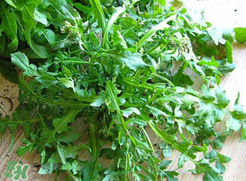 薺菜上有白點(diǎn)能吃嗎？薺菜背面有白點(diǎn)是什么？