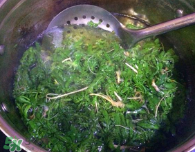 薺菜怎么焯水？薺菜焯水多久？