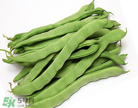 三月份可以種豆角嗎？豆角幾月份種？