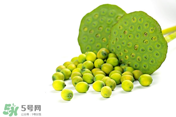 蓮子怎么吃最好 蓮子的吃法 蓮子怎么吃最好 蓮子的吃法