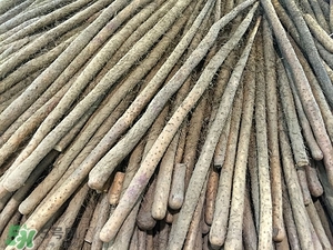 鐵棍山藥怎么吃 鐵棍山藥吃法 鐵棍山藥怎么吃 鐵棍山藥吃法