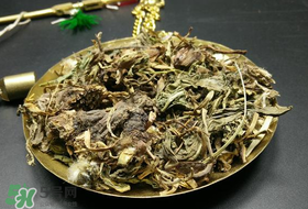 干的蒲公英多少錢一斤？蒲公英多少錢一斤干的？