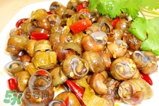 月經(jīng)可以吃螺螄嗎？生理期能吃螺螄嗎？