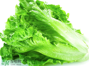 春天能種生菜嗎？生菜春天可以種嗎？