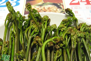 蕨菜為什么苦？蕨菜苦是怎么回事？