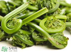 蕨菜怎么洗？蕨菜怎么清洗才干凈？
