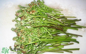 蕨菜怎么保存？蕨菜怎么保鮮？