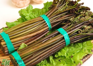 蕨菜怎么保存？蕨菜怎么保鮮？