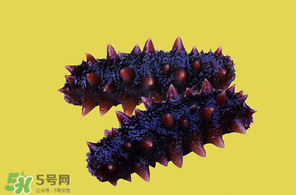 春天能吃海參嗎？春天吃海參效果好嗎？