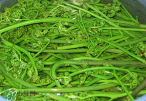 蕨菜怎么洗？蕨菜怎么清洗才干凈？