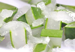 出水痘能用蘆薈膠嗎？水痘破了能擦蘆薈膠嗎？