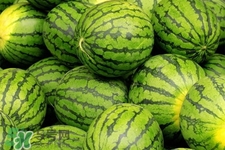 吃西瓜為什么不能用勺子？用勺子吃西瓜有什么不好？