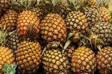 菠蘿可以吸甲醛嗎？菠蘿可以除甲醛嗎？