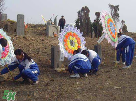 清明節(jié)穿什么衣服？清明節(jié)是適合穿什么衣服？